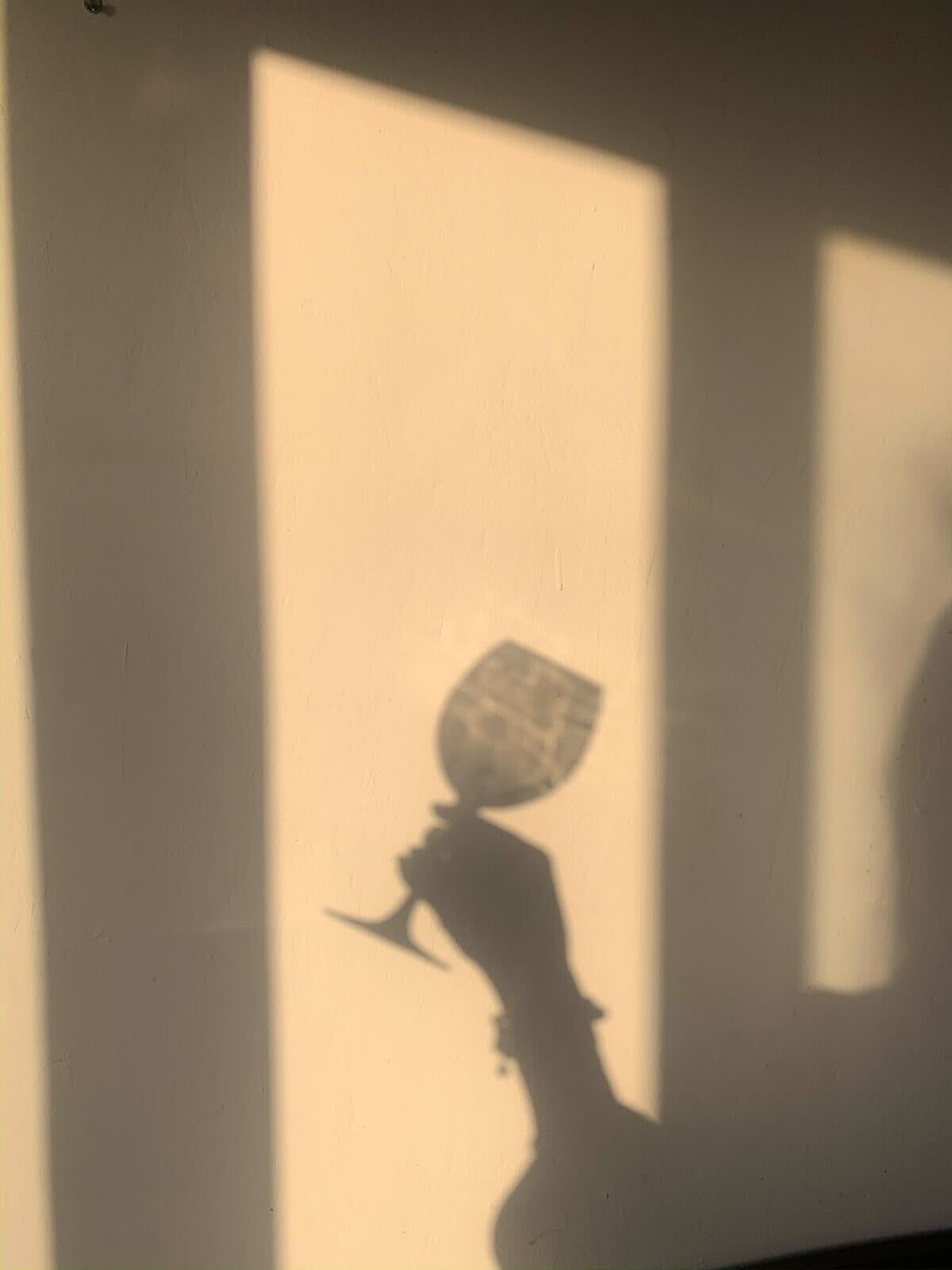 Ombre d'une personne tenant un verre sur un mur éclairé par la lumière naturelle